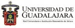 udg logo 1